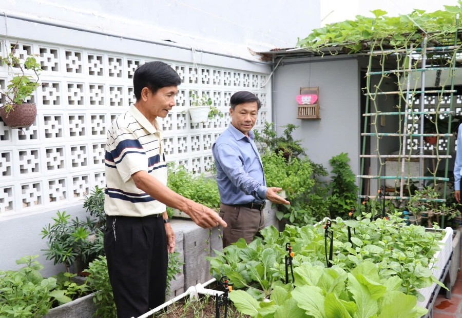Việc trồng cây trên mái nhà, tường nhà hay sân thượng không chỉ điều hòa nhiệt độ, cải thiện chất lượng không khí, mà còn giảm tiếng ồn và tăng mỹ quan đô thị. Ảnh: Trần Trúc