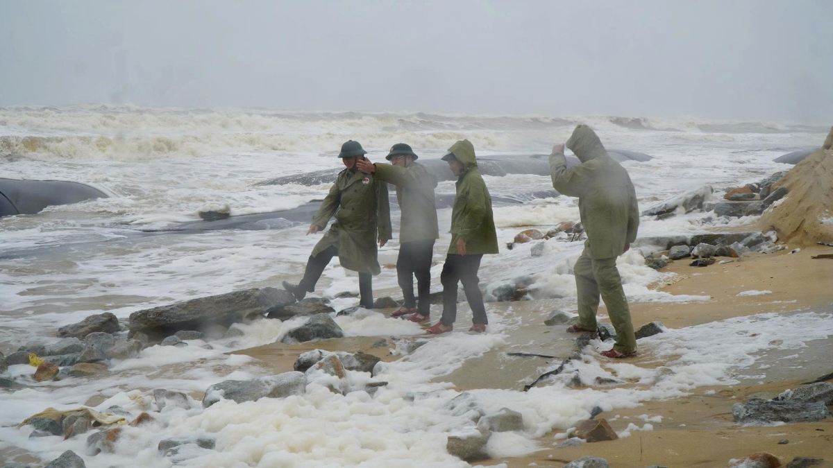 Sạt lở bờ biển ở Huế.