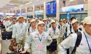 Chi tiết kế hoạch tuyển chọn lao động đi làm việc tại Hàn Quốc
