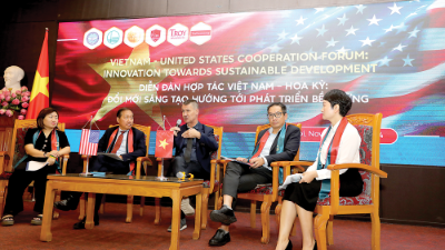 Stronger growth of US investment in Vietnam