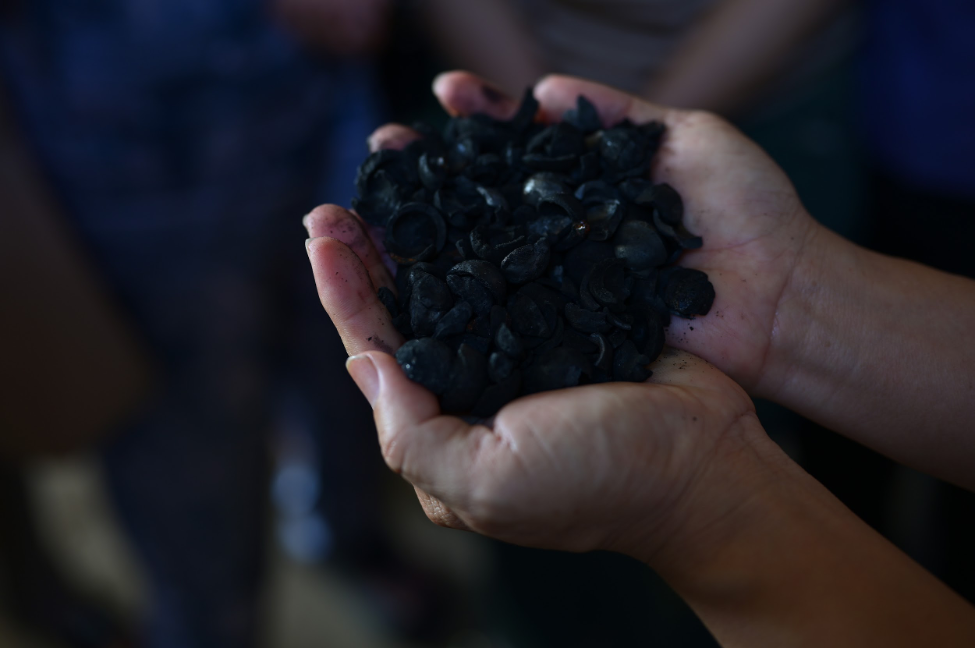 Biochar obtained from the gasifier is high quality and valuable for circular agriculture.