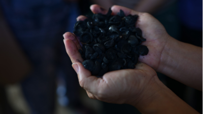 Circular solutions helping Vietnamese farmers turn by-products into resources