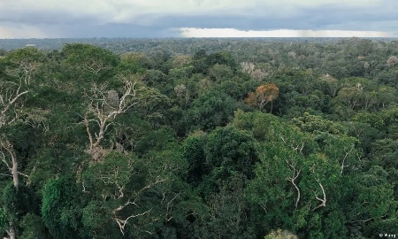 Nạn phá rừng đã ảnh hưởng nặng nề đến Manaus, thủ phủ bang Amazonas. (Ảnh: Wang Tiancong/Xinhua/picture alliance)