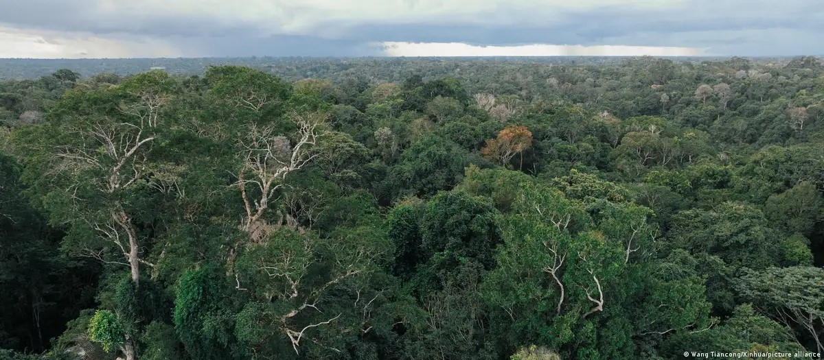 Nạn phá rừng đã ảnh hưởng nặng nề đến Manaus, thủ phủ bang Amazonas. (Ảnh: Wang Tiancong/Xinhua/picture alliance)