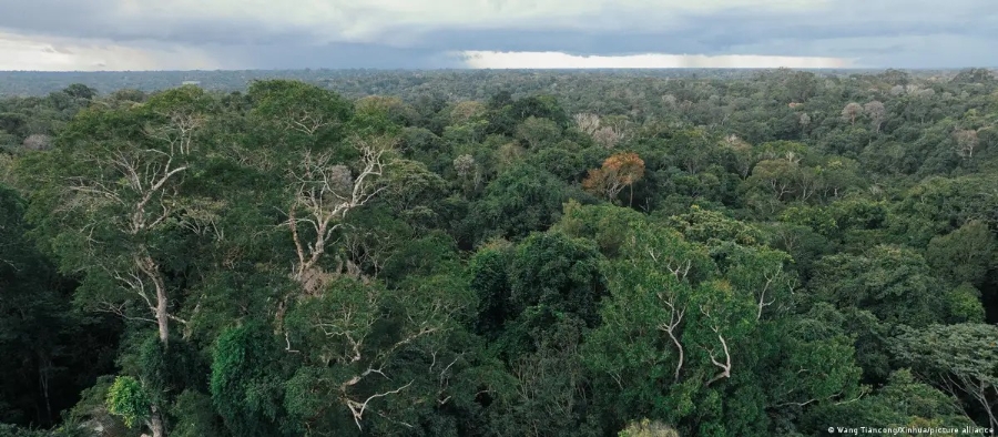 Nạn phá rừng đã ảnh hưởng nặng nề đến Manaus, thủ phủ bang Amazonas. (Ảnh: Wang Tiancong/Xinhua/picture alliance)