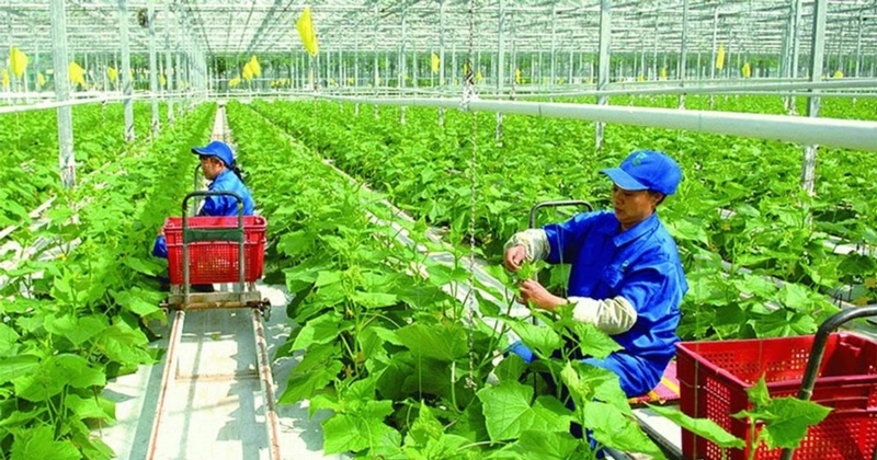 Human resources for agriculture is a strategic and urgent issue