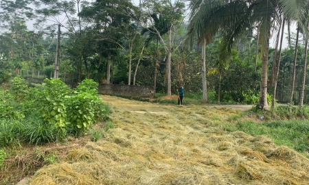 Kết quả thực hiện giảm nghèo đa chiều giai đoạn 2021-2025 và mục tiêu cho năm 2026