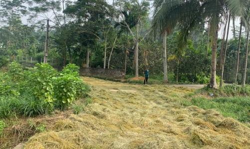 Kết quả thực hiện giảm nghèo đa chiều giai đoạn 2021-2025 và mục tiêu cho năm 2026