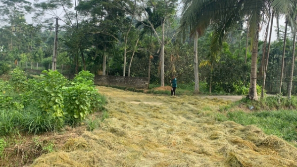 Kết quả thực hiện giảm nghèo đa chiều giai đoạn 2021-2025 và mục tiêu cho năm 2026