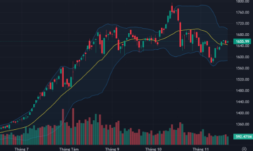 Tiền nội đứng chờ, tiền ngoại đảo chiều mua ròng