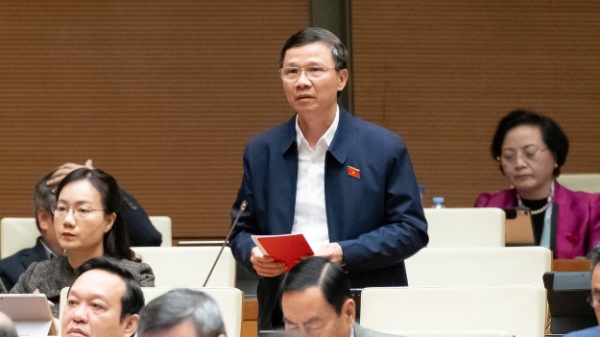 Đại biểu Quốc hội kiến nghị bỏ mô hình đại học vùng 