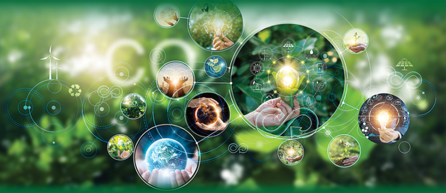 Phát triển kinh tế tuần hoàn mở ra nhiều cơ hội cho các doanh nghiệp. Ảnh minh họa