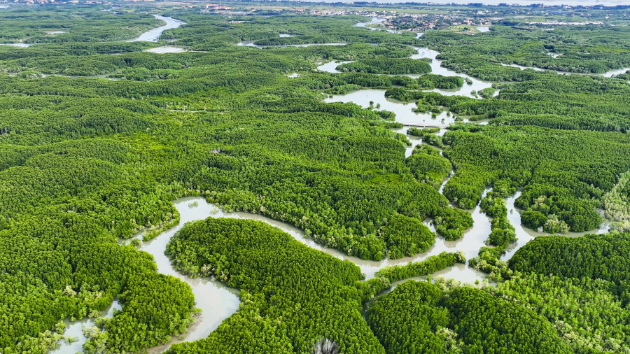 Vietnam to develop blue carbon database and decarbonization roadmap