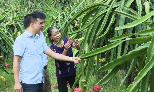 Hợp nhất ba Chương trình mục tiêu quốc gia, tối ưu hóa nguồn lực cho giai đoạn 2026–2035