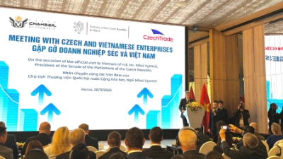 Vietnam and Czech hold potentials to boost cooperation in various sectors