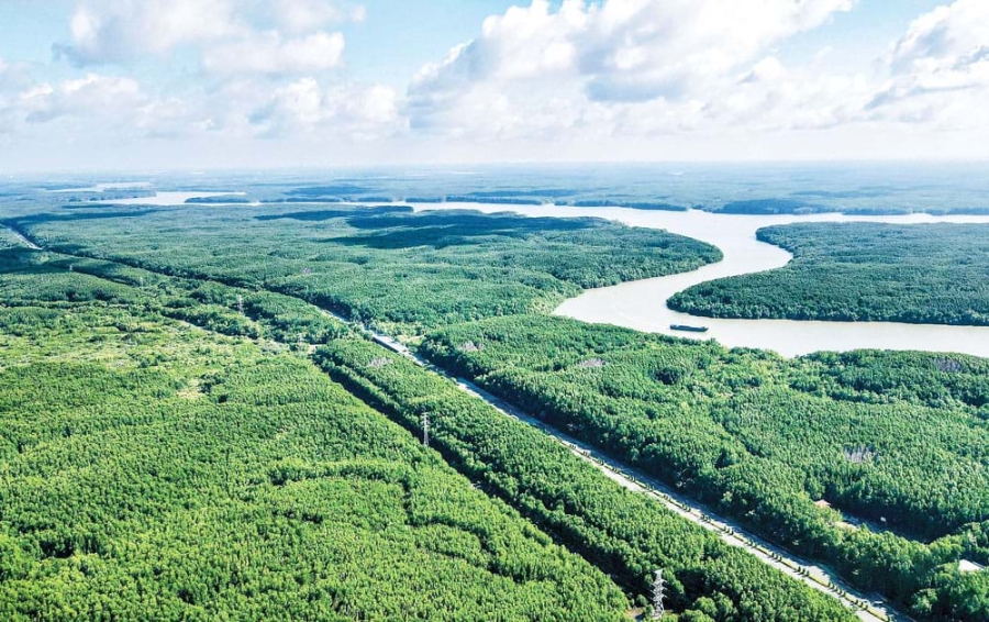 Việt Nam có tiềm năng carbon xanh. Ảnh minh họa