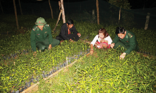 Hành trình đổi đời của người Chứt ở Rào Tre