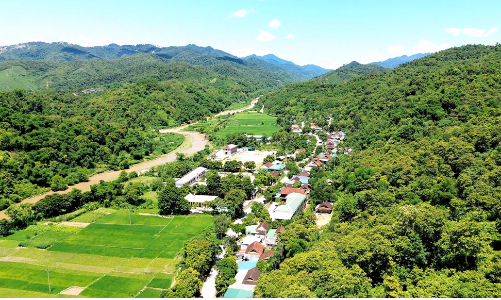 Phát triển lâm nghiệp bền vững, hiệu quả từ chính sách giao rừng 