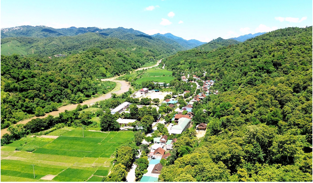 Đến thời điểm này, Nghệ An có tỷ lệ che phủ rừng đạt 59,01%