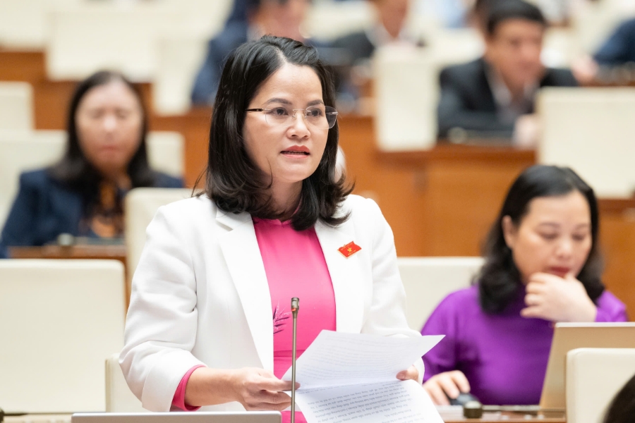 đại biểu Nguyễn Hoàng Bảo Trân, Đoàn Đại biểu Quốc hội Thành phố Hồ Chí Minh