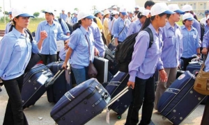 Nghệ An: Xuất khẩu lao động giúp kiều hối của tỉnh duy trì khoảng 700 triệu USD mỗi năm