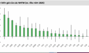 Nhịp điều chỉnh đã xóa 20–80% mức tăng trong năm 2025 của nhiều cổ phiếu ngân hàng, định giá có rẻ? 