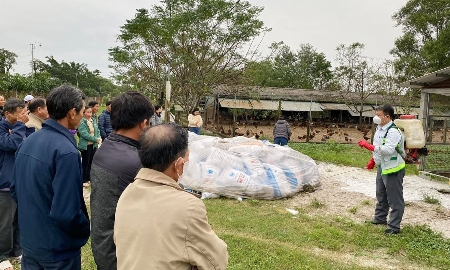 Triển khai hỗ trợ nông dân Huế khôi phục sản xuất sau mưa lũ