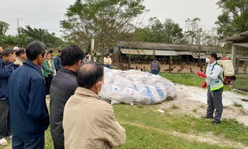 Triển khai hỗ trợ nông dân Huế khôi phục sản xuất sau mưa lũ