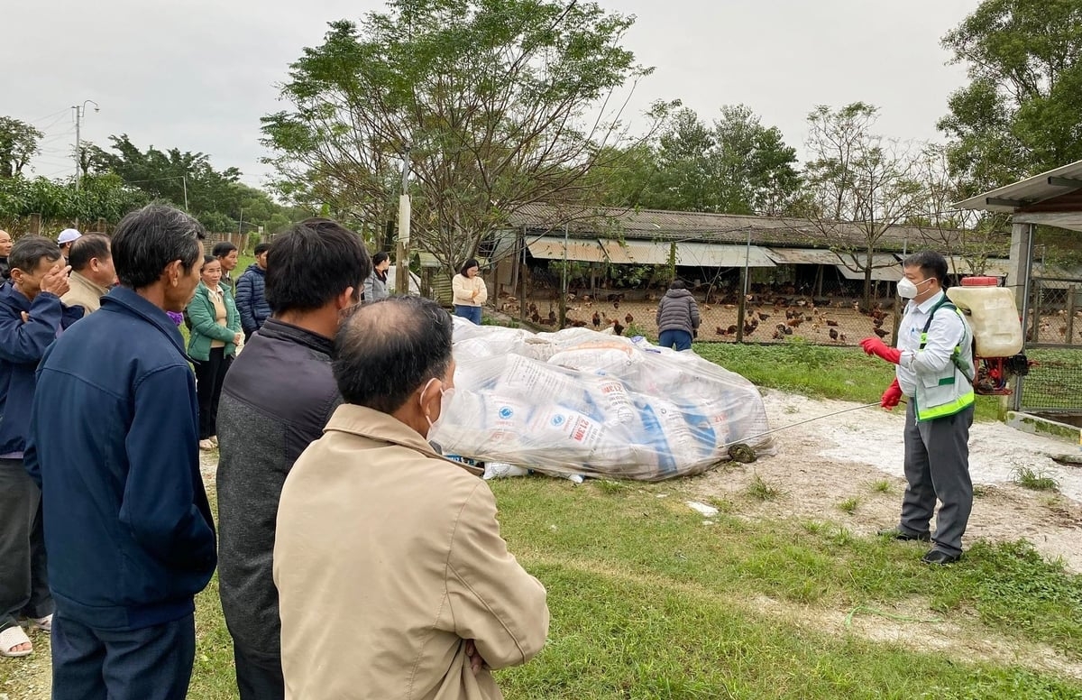 Chuyên gia các hộ chăn nuôi gia cầm  xã Đan Điền học cách vệ sinh và khử trùng đúng quy trình. Ảnh: Văn Dinh