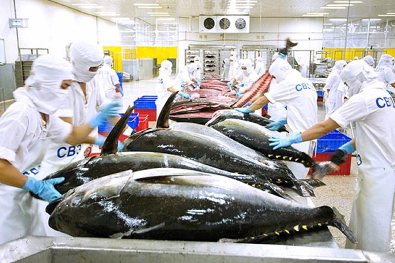 Xuất khẩu thủy sản của Việt Nam sang Đức tăng trưởng tích cực trong bối cảnh chưa dỡ bỏ được thẻ vàng IUU .