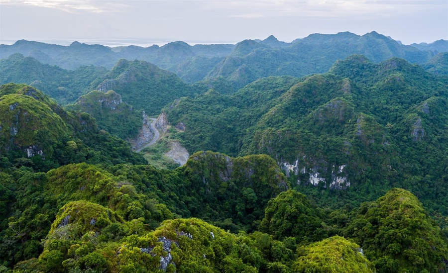 Các dự án bảo vệ rừng, tăng diện tích rừng để giảm phát thải khí nhà kính, nhân rộng các mô hình nông lâm kết hợp để nâng cao trữ lượng carbon và bảo tồn đất cũng là một trong những lĩnh vực được ưu tiên.