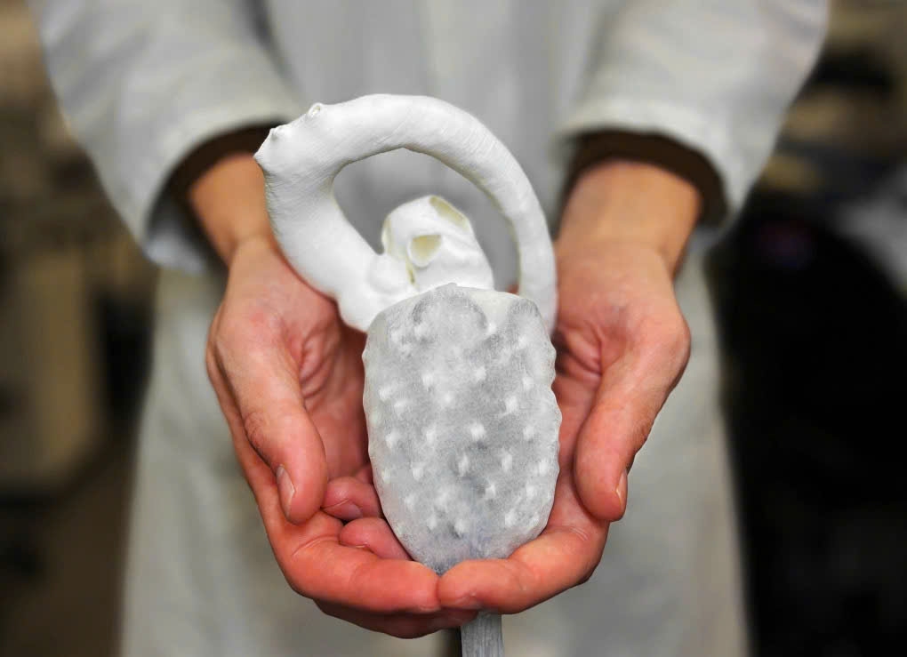 PGS. Đỗ Thanh&nbsp; Nhỏ sẽ giới th iệu về hoạt động của 