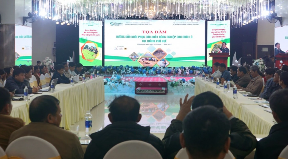 Toàn cảnh toạ đàm