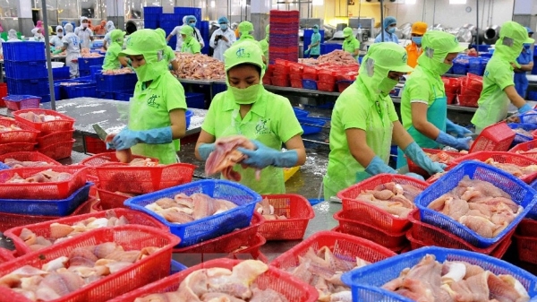 Tận dụng hiệu quả CPTPP: Xuất khẩu Việt Nam bứt phá tại Australia và Canada