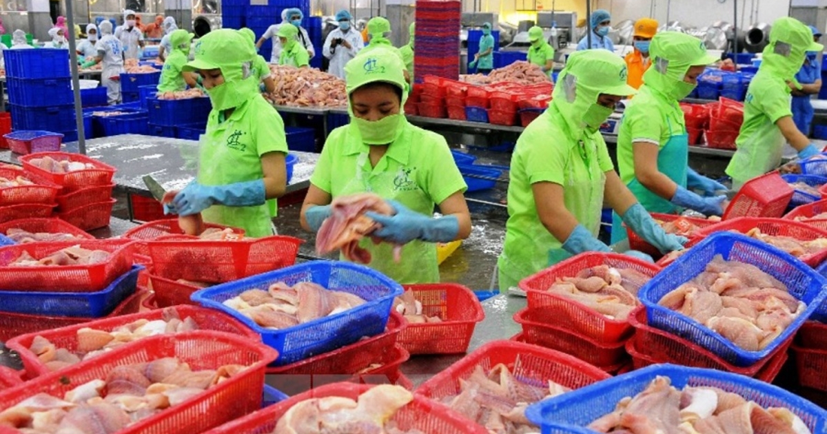 Tận dụng hiệu quả CPTPP: Xuất khẩu Việt Nam bứt phá tại Australia và Canada