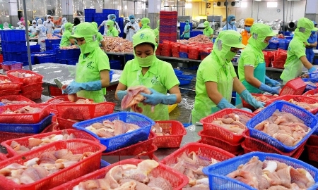 Nhóm hàng thủy sản thế mạnh của Việt Nam đã vươn lên chiếm lĩnh thị phần hàng đầu tại Australia.