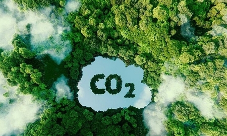 Vận hành thị trường carbon: Bài học từ khu vực APEC và cơ hội cho Việt Nam