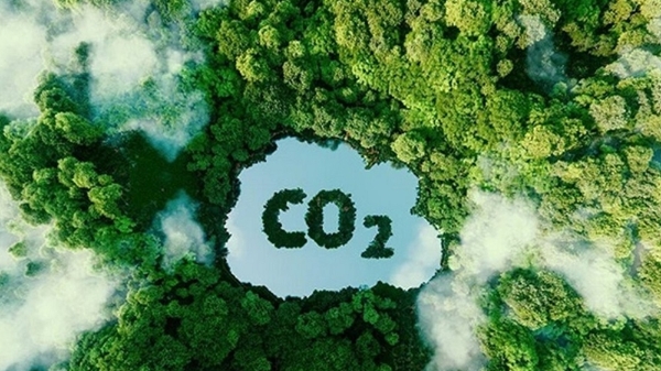 Vận hành thị trường carbon: Bài học từ khu vực APEC và cơ hội cho Việt Nam