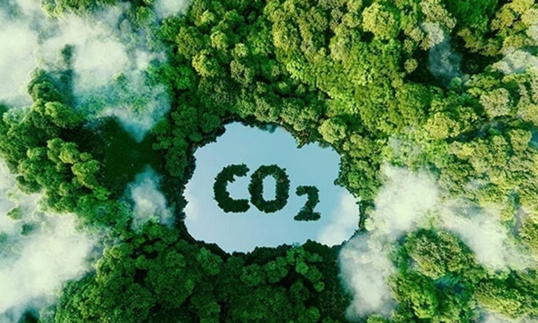 Việt Nam có nhiều cơ hội tham gia vào chuỗi giá trị carbon xanh khu vực và toàn cầu.