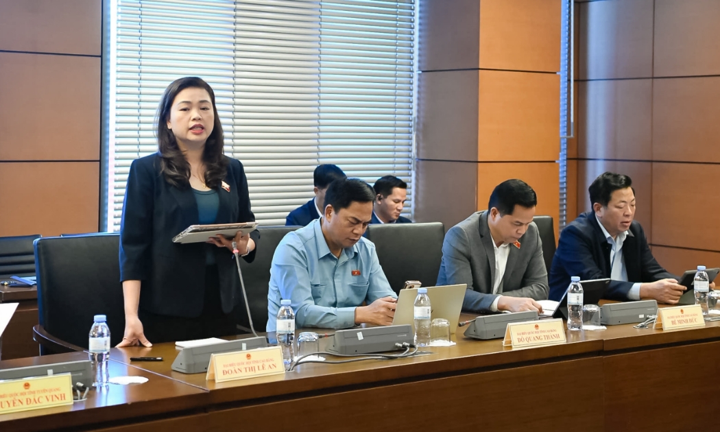Đại biểu Đoàn Thị Lê An, Đoàn ĐBQH tỉnh Cao Bằng phát biểu tại thảo luận tổ. Ảnh: Quochoi.vn.