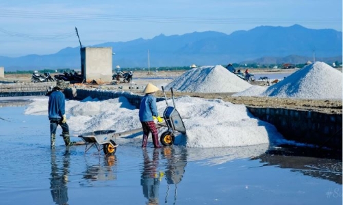 To unleash salt industry’s potential