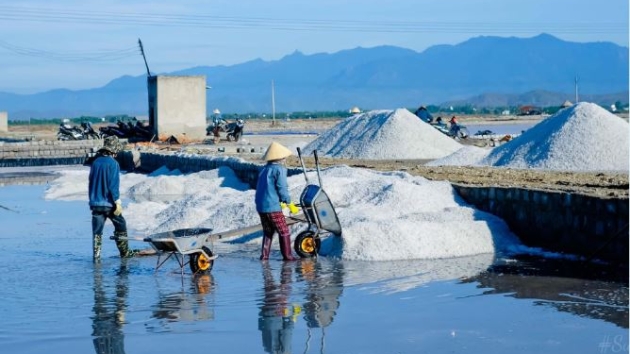 To unleash salt industry’s potential