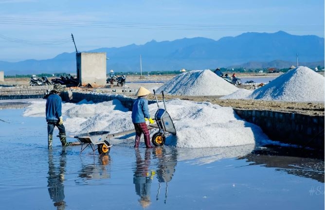 To unleash salt industry’s potential