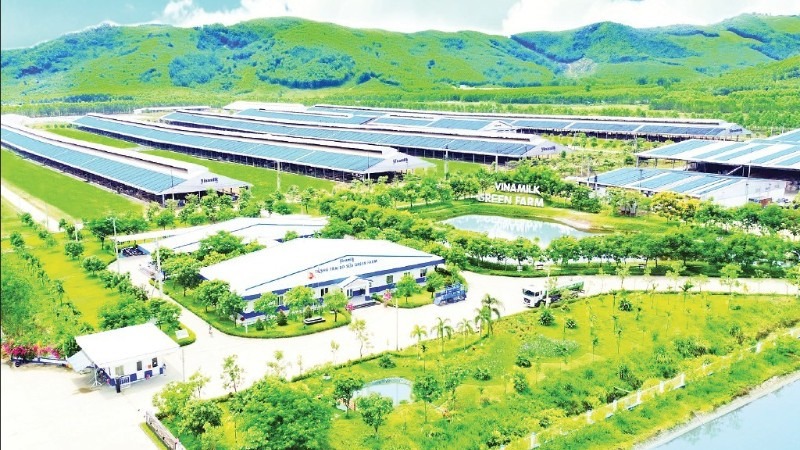 Nông nghiệp vẫn là trụ cột của kinh tế Việt Nam. Ảnh minh họa