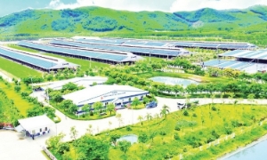 Nông nghiệp vẫn là trụ cột của kinh tế Việt Nam. Ảnh minh họa