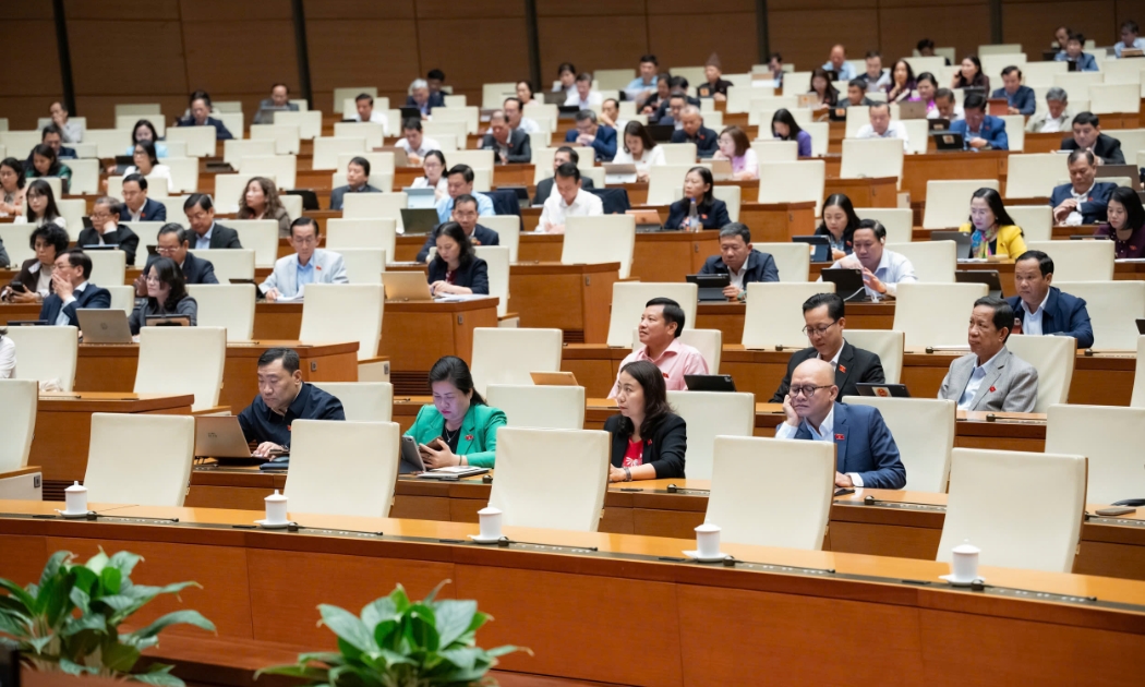 Đại biểu Quốc hội kiến nghị về việc trích lại tiền thuế nhập khẩu để phòng vệ thương mại