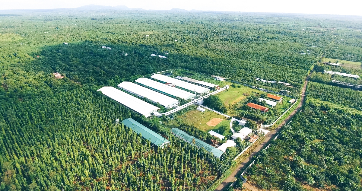 Trang trại của Greenfeed tại tỉnh Đồng Nai.