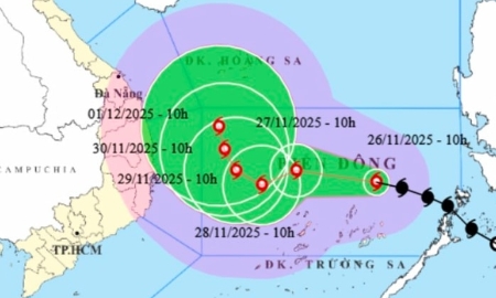Chủ động ứng phó bão số 15, bảo đảm an toàn cao nhất cho Nhân dân