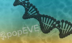 Mô hình popEVE không yêu cầu lượng năng lượng lớn nên có thể phù hợp với các quốc gia có thu nhập thấp và trung bình. Ảnh: FT/Getty Images