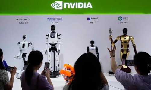 Cổ phiếu Nvidia giảm mạnh khi cuộc đua AI chuyển hướng sang chip chuyên dụng của Google